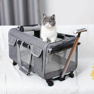 Foldable Travel Carrier with Detachable Wheels for Large Cats & Dogs