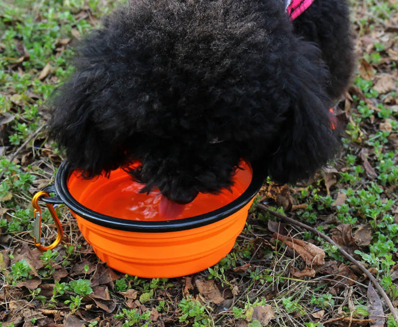 Load image into Gallery viewer, Collapsible Pet Silicone Dog Food Water Bowl Outdoor Camping Travel Portable Folding  Supplies   Dishes with Carabiner
