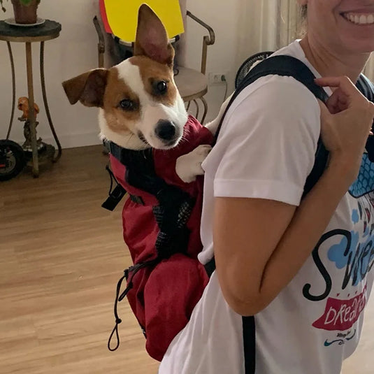 Strong Nylon Dog Carrier Backpack