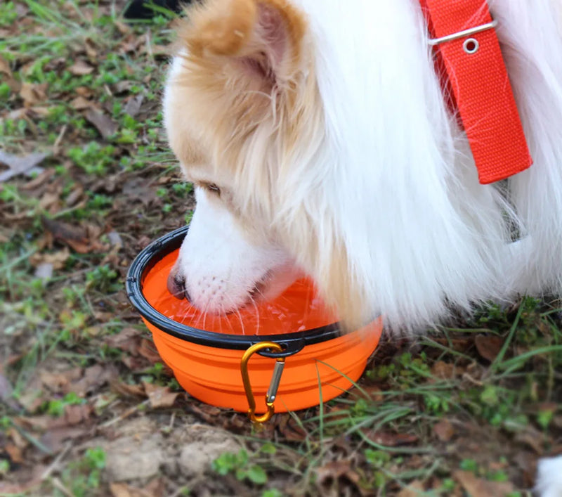 Load image into Gallery viewer, Collapsible Pet Silicone Dog Food Water Bowl Outdoor Camping Travel Portable Folding  Supplies   Dishes with Carabiner
