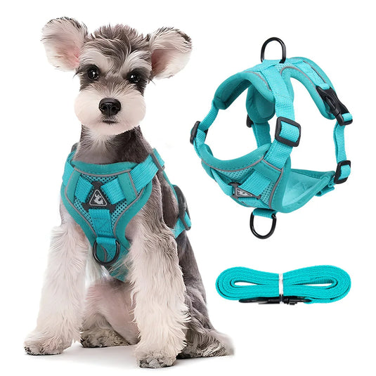 Reflective Breathable Dog Harness Vest Lightweight, Adjustable Safety for Small to Medium Dogs