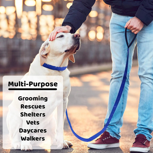 Durable Nylon Slip Rope Dog Leash