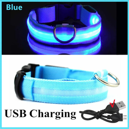 USB Rechargeable LED Dog Collar Adjustable Glowing Safety Collar for Night Walks