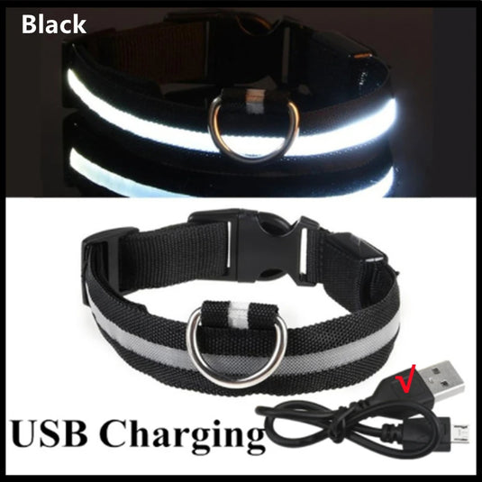 USB Rechargeable LED Dog Collar Adjustable Glowing Safety Collar for Night Walks