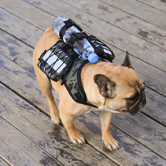 Dog Saddle Backpack Waterproof Hiking & Camping Pack for Small and Medium Dogs