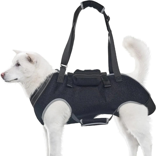 Pet assistance elderly disabled dog walking disability assistance old dog walking backpack multifunctional backpack stretcher