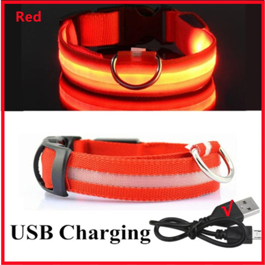 USB Rechargeable LED Dog Collar Adjustable Glowing Safety Collar for Night Walks