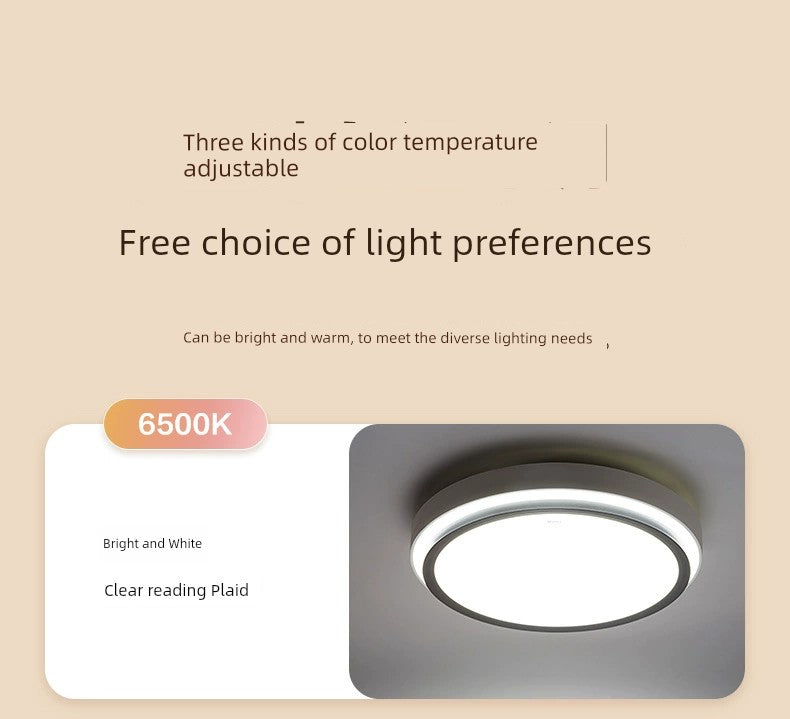 Load image into Gallery viewer, Bull LED Replacement Bedroom Ceiling Lamp
