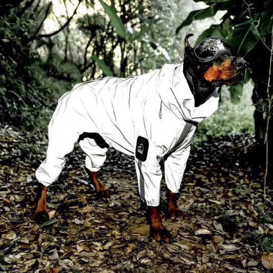 Reflective Pet Dog Jumpsuit Waterproof Raincoat Sunscreen Dog Outdoor Clothes Jacket for Small Medium Large Dog Pet Supplies