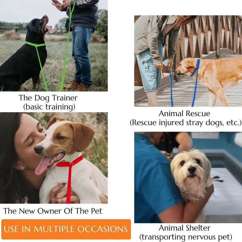 Load image into Gallery viewer, Durable Nylon Slip Rope Dog Leash
