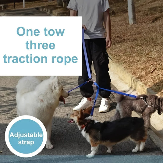 3-in-1 Dog Leash Padded Grip for Walking, Travel & Outdoor Control
