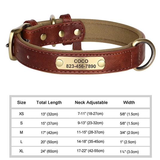 Custom Engraved Leather Dog Collar Soft Padded ID Tag Collar for All Dog Sizes