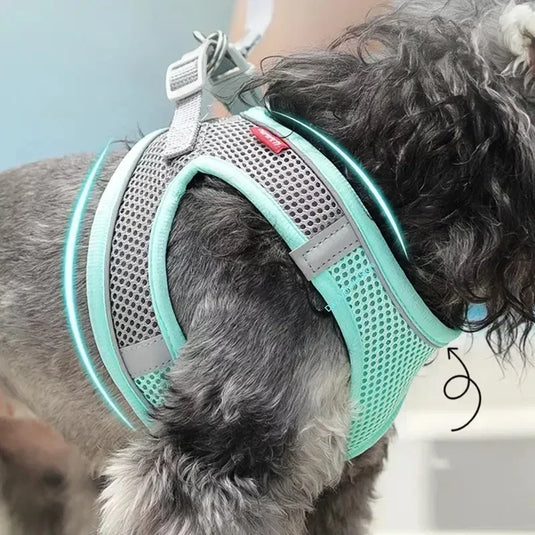 Adjustable Harness Set Soft, Reflective Control for Small Dogs & Cats