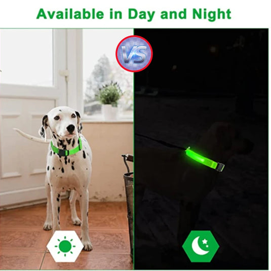 USB Rechargeable LED Dog Collar Adjustable Glowing Safety Collar for Night Walks