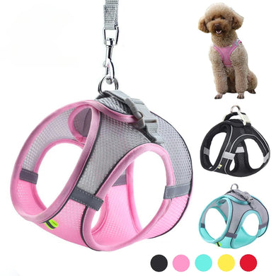 Adjustable Harness Set Soft, Reflective Control for Small Dogs & Cats