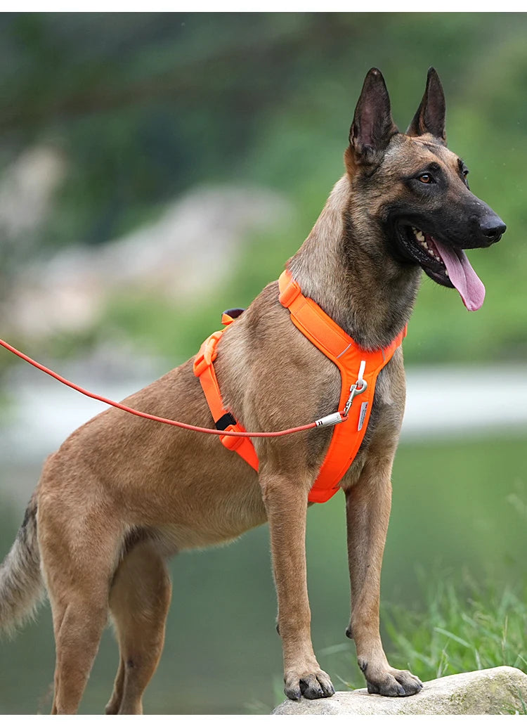 Load image into Gallery viewer, No-Pull Reflective Dog Harness

