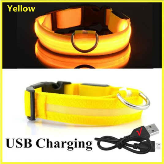 USB Rechargeable LED Dog Collar Adjustable Glowing Safety Collar for Night Walks