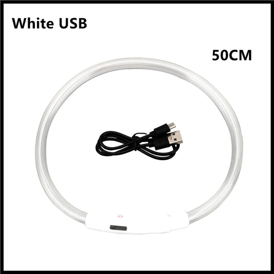 USB Rechargeable LED Dog Collar Adjustable Glowing Safety Collar for Night Walks