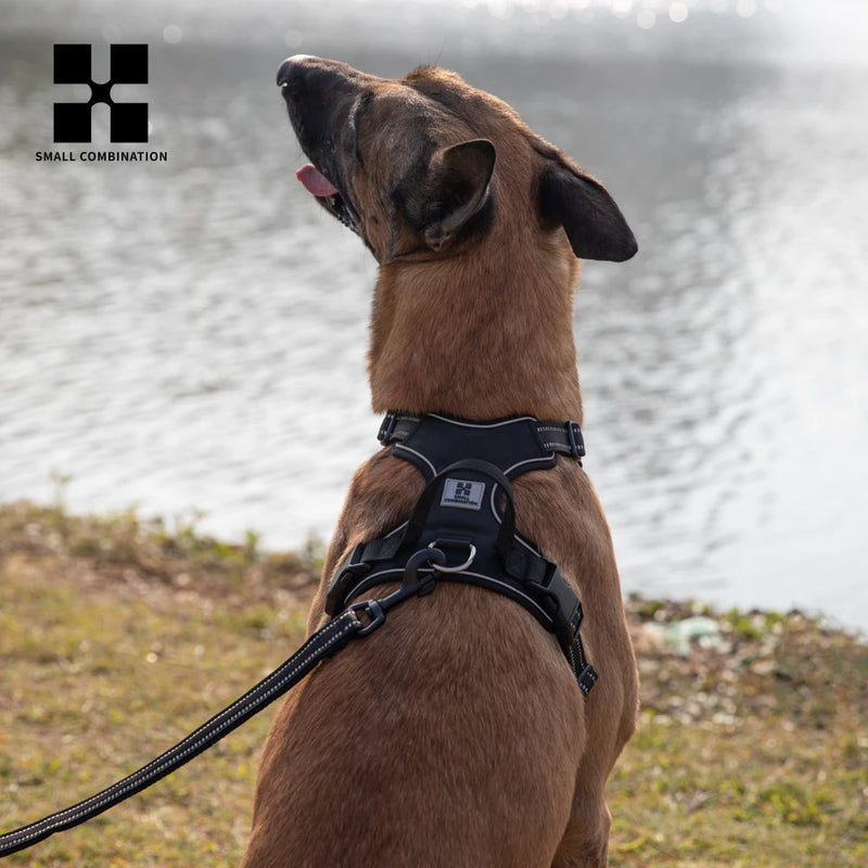 Load image into Gallery viewer, Personalized No-Pull Reflective Dog Harness
