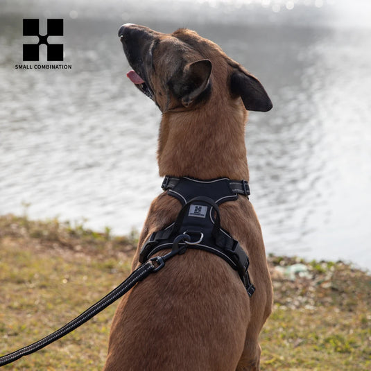 Personalized No-Pull Reflective Dog Harness