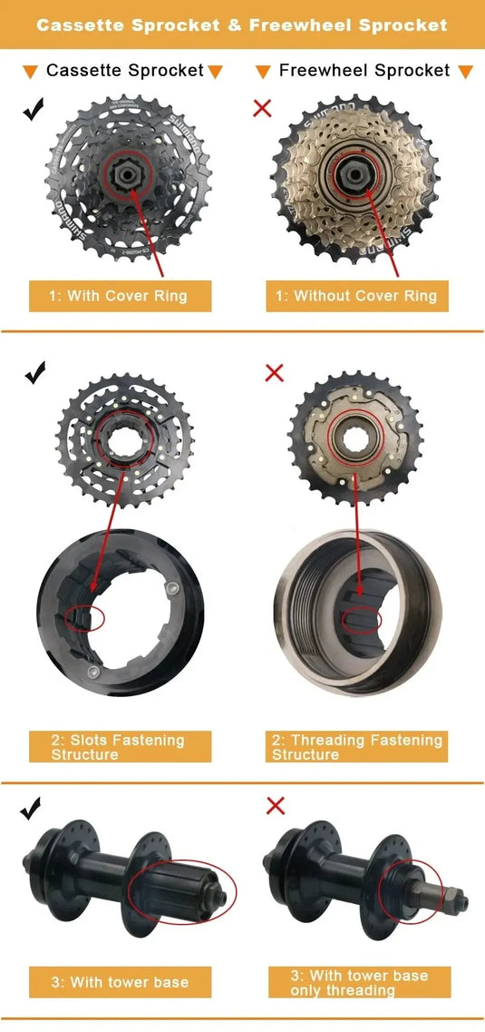 Riderace Freewheel Tool