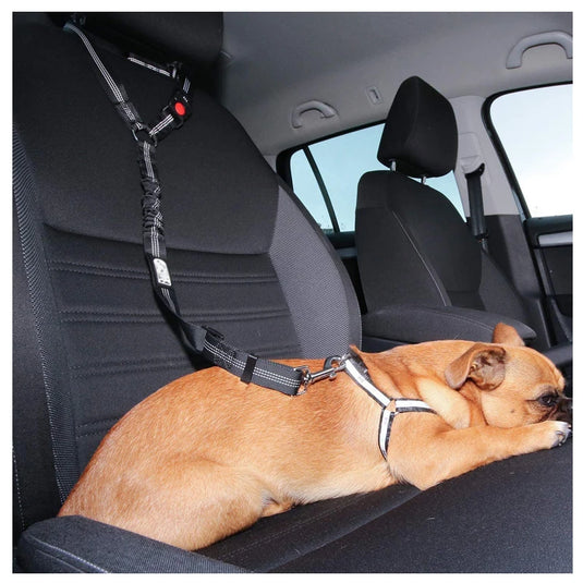2-in-1 Reflective Pet Harness & Car Seat Belt Shock-Absorbing Travel Leash for Dogs and Cats
