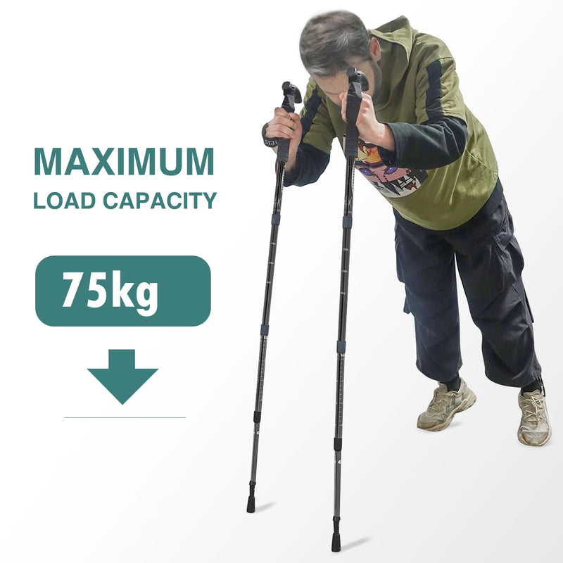 Load image into Gallery viewer, WEST TUNE Outdoor Folding Trekking Pole | 4-Section Portable Walking Stick for Hiking

