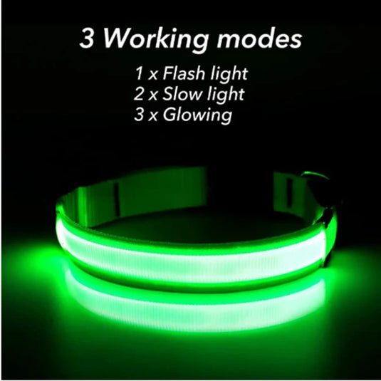 USB Rechargeable LED Dog Collar Adjustable Glowing Safety Collar for Night Walks