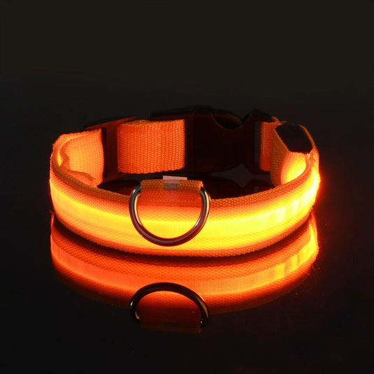 LED Dog Collar for Night Safety