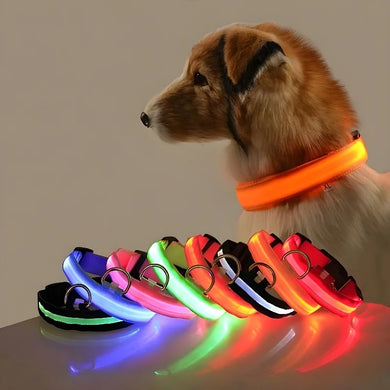 LED Dog Collar for Night Safety