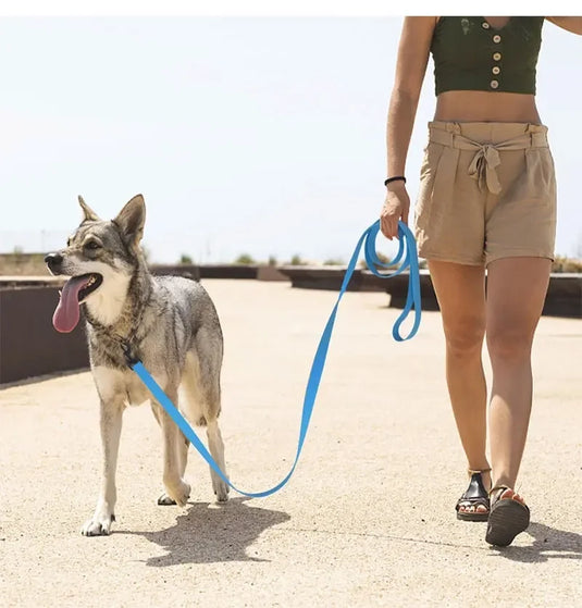 Extra Long Nylon Dog Training Leash 4.5m / 6m / 10m / 30m Durable Lead for Outdoor Activities