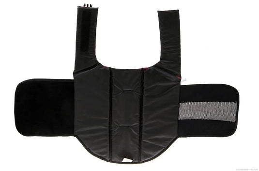Dog Life Vest – Safety That Swims with Your Pet