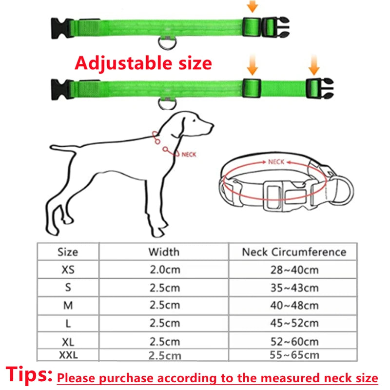 Load image into Gallery viewer, USB Rechargeable LED Dog Collar Adjustable Glowing Safety Collar for Night Walks
