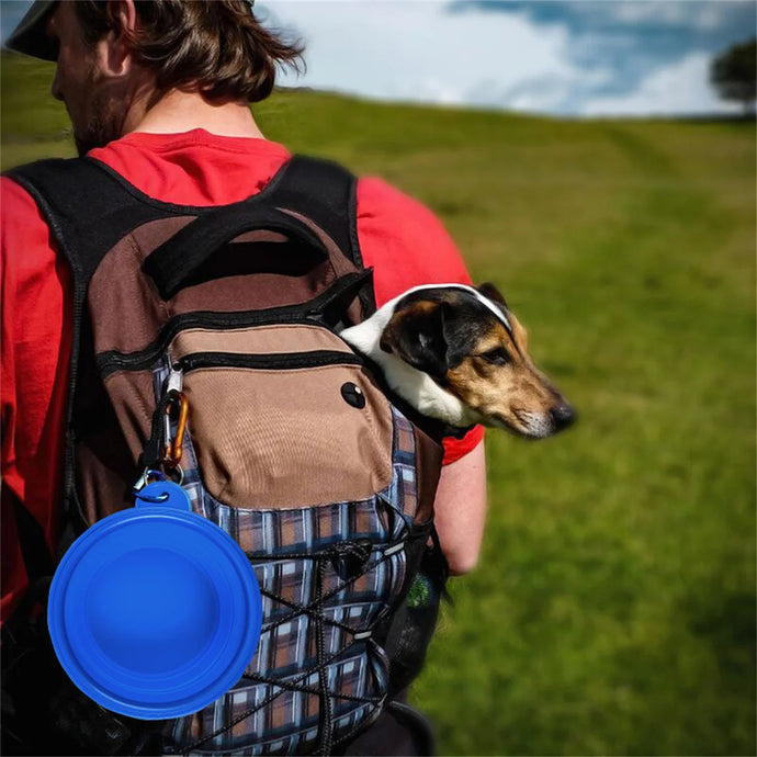 Collapsible Dog Pet Folding Silicone Bowl Outdoor Travel Portable Puppy Food Container Feeder Dish Bowl Pet supplies