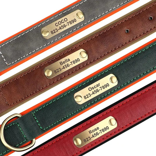 Custom Engraved Leather Dog Collar Soft Padded ID Tag Collar for All Dog Sizes