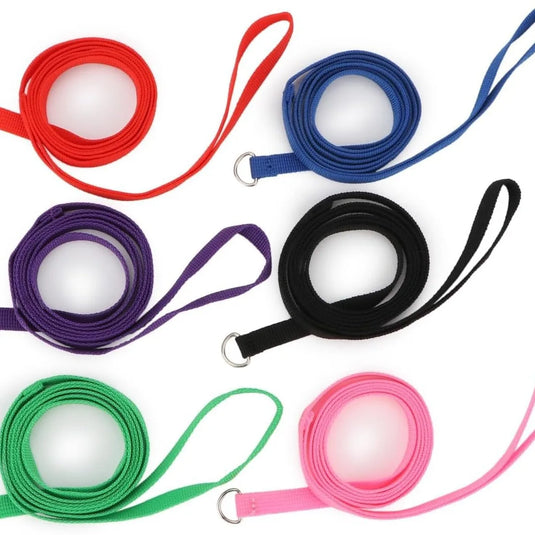 Durable Nylon Slip Rope Dog Leash
