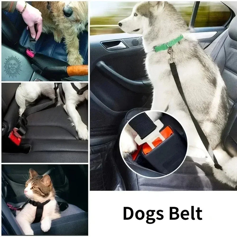 Load image into Gallery viewer, Solid Color Two-in-one Pet Car Seat Belt Nylon Lead Leash Backseat Safety Belt Adjustable Dogs Harness Collar Pet Accessories
