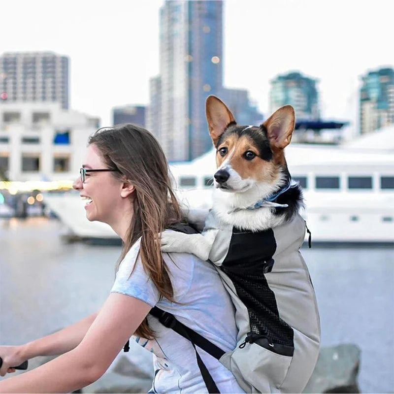 Load image into Gallery viewer, Strong Nylon Dog Carrier Backpack
